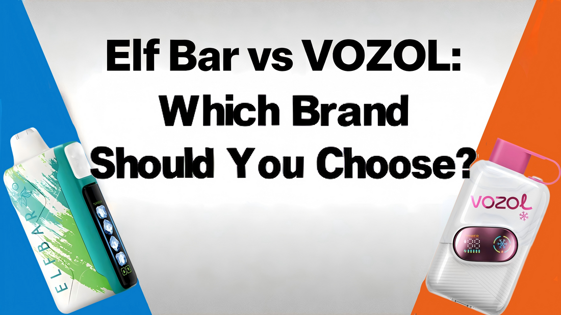 Elf Bar vs VOZOL: Which Brand is Better in Europe?