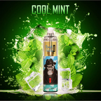 FUMOT Tornado RandM 15000 puffs Disposable Vape Cool MINT-EUROVAPEPRO