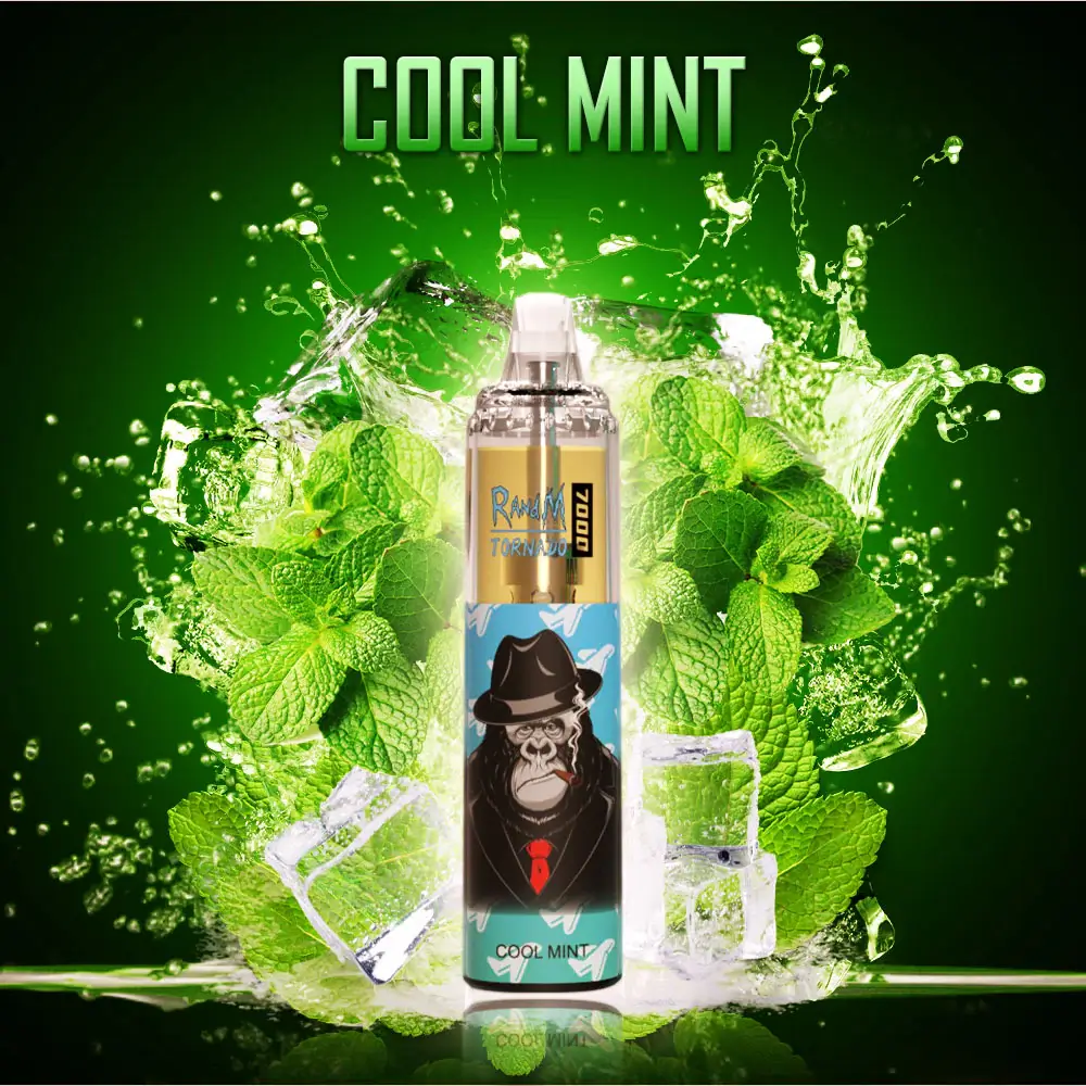 FUMOT Tornado RandM 15000 puffs Disposable Vape Cool MINT-EUROVAPEPRO