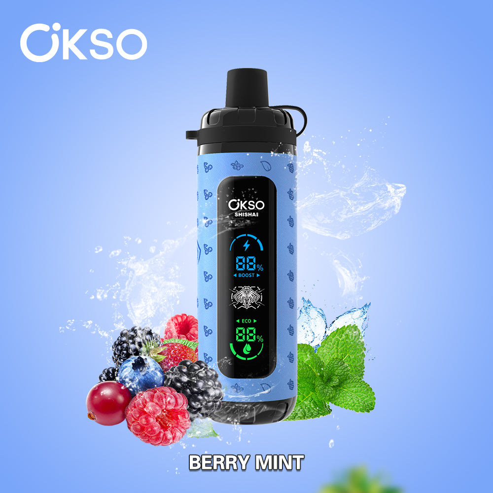 OKSO Shisha Max 40000 40K Puffs Disposable Vape berry mint EuroVapePro