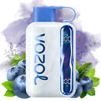 VOZOL Star Kit 40000puff Disposable Vape Berry Mint/EUROVAPEPRO