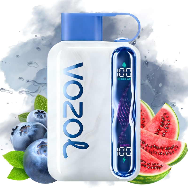 VOZOL Star Kit 40000puff Disposable Vape Bluberry Watermelon/EUROVAPEPRO