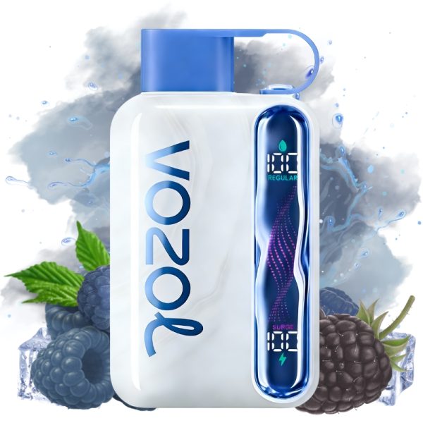 VOZOL Star Kit 40000puff Disposable Vape  Blue Razz Ice-EUROVAPEPRO