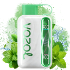 VOZOL Star Kit 40000puff Disposable Vape  Cool Mint/EUROVAPEPRO