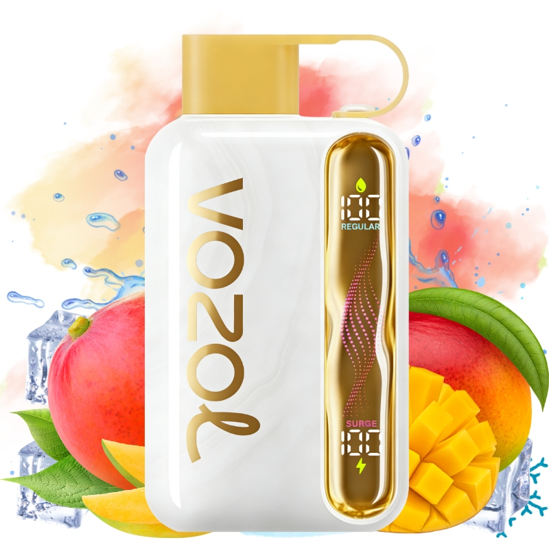 VOZOL Star Kit 40000puff Disposable Vape  Mango Ice-EUROVAPEPRO