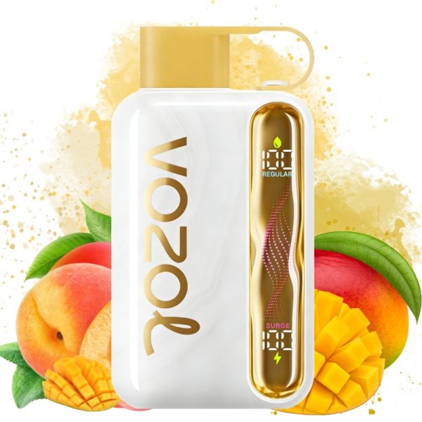 VOZOL Star Kit 40000puff Disposable Vape Mango Peach-EUROVAPEPRO