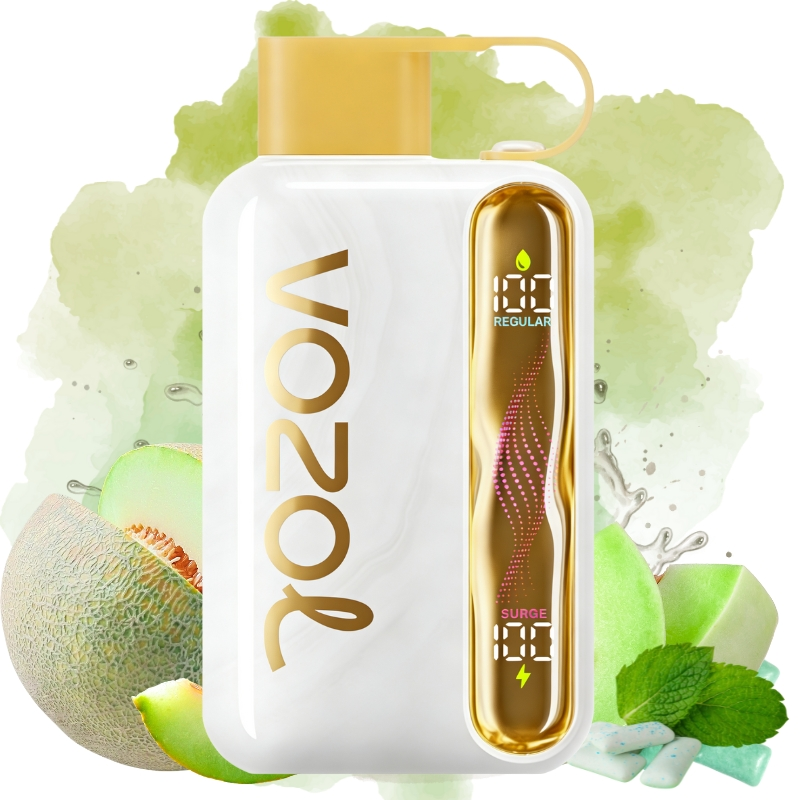 VOZOL Star Kit 40000puff Disposable Vape Melon Gum/EUROVAPEPRO
