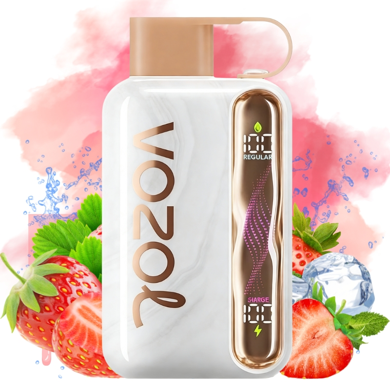VOZOL Star Kit 40000puff Disposable Vape Strawberry Ice/EUROVAPEPRO