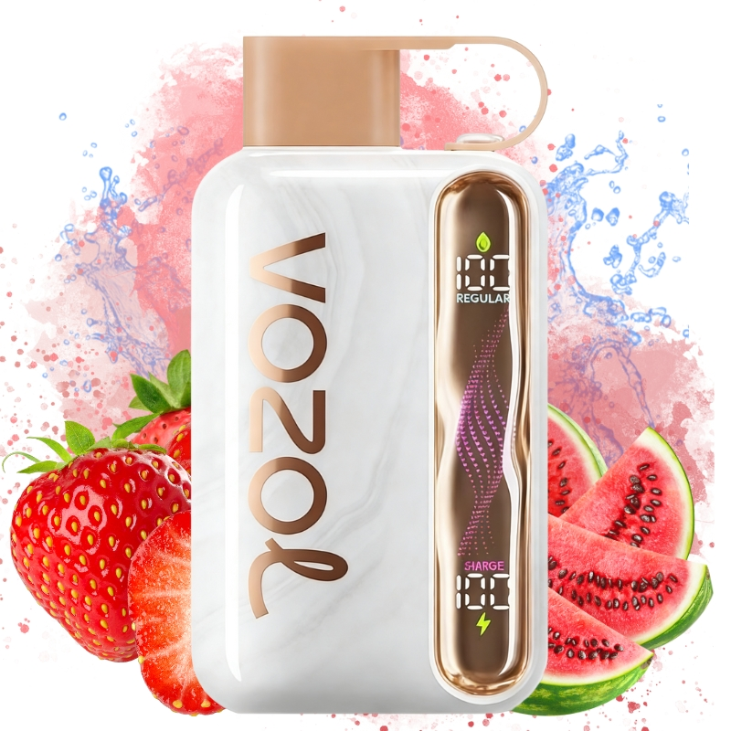 VOZOL Star Kit 40000puff Disposable Vape  Strawberry Watermelon/EUROVAPEPRO