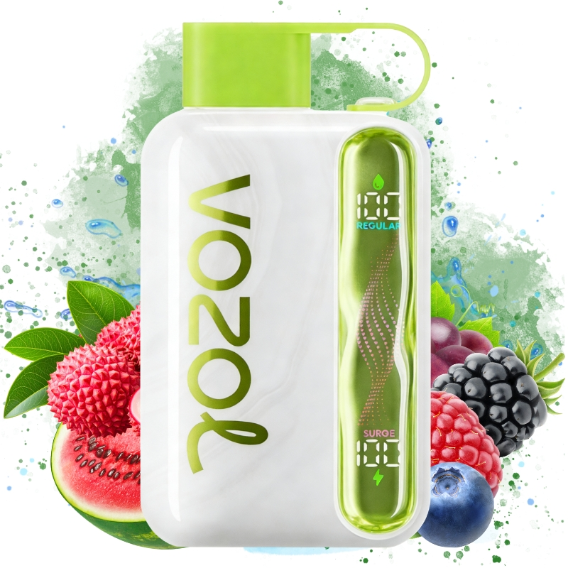 VOZOL Star Kit 40000puff Disposable Vape Watemelon Grape Boysenberry/EUROVAPEPRO