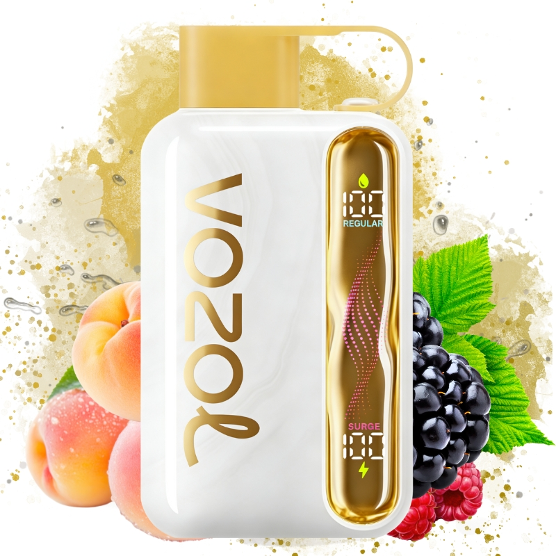 VOZOL Star Kit 40000puff Disposable Vape White Peach Raspberry/EUROVAPEPRO