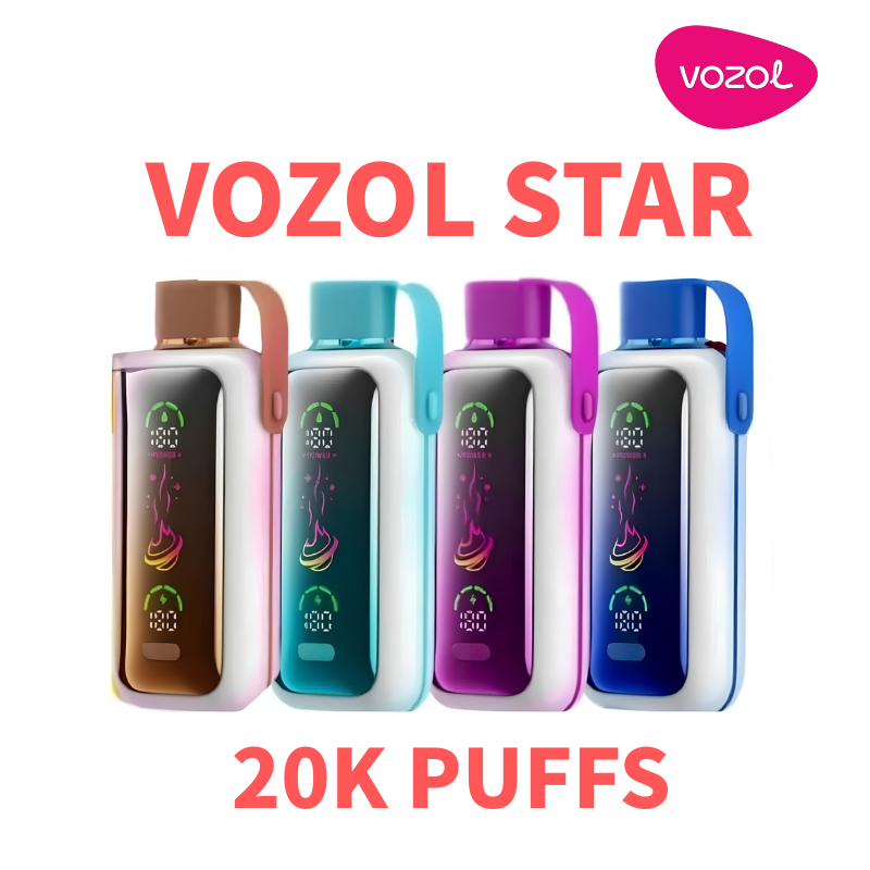 Vozol Star 20000 Puffs Dual Power Rechargeable Disposable Vape